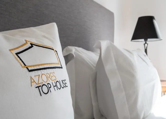 Azores House // Luxury And New House 度假居 蓬塔德尔加达